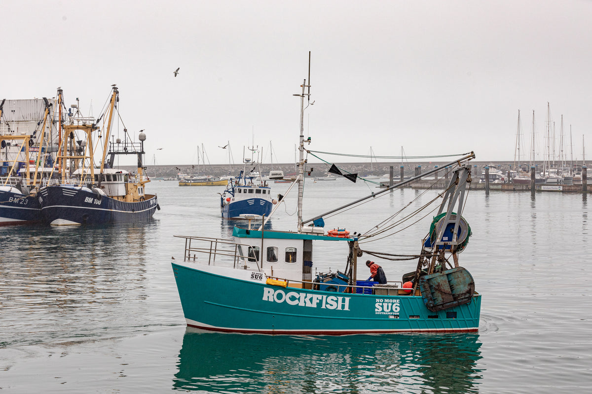 About Our Boat Rockfish