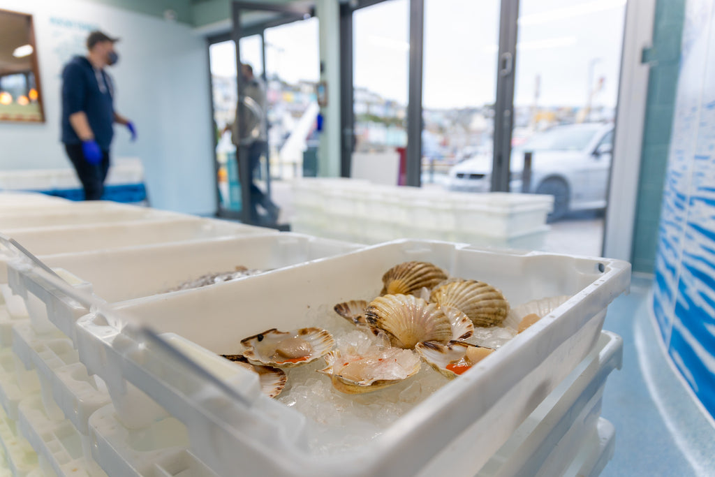 Brixham Fishmonger ~ Buy fresh seafood
