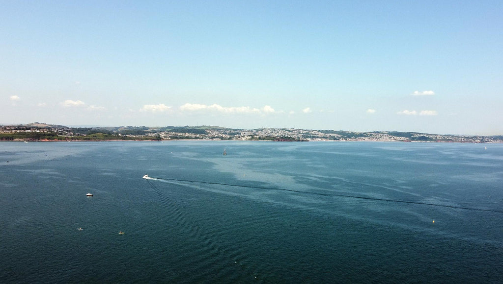 The Online Seafood Market and The Devon Environment Foundation