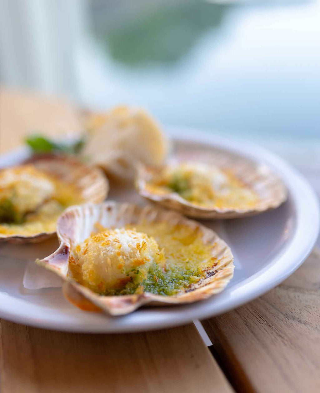 Dancing for Joy with Disco Scallops™