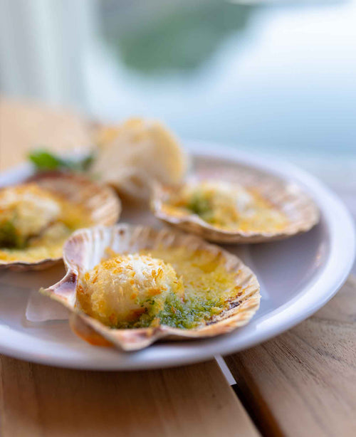 Dancing for Joy with Disco Scallops™