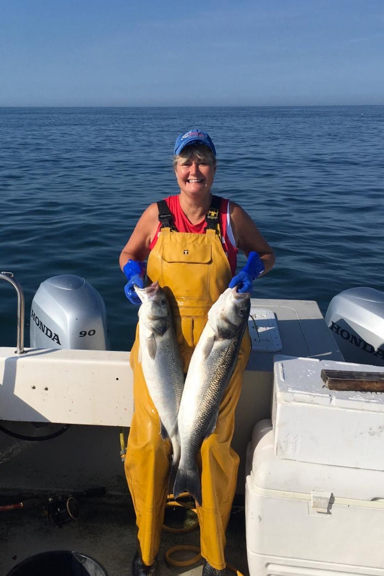 Protecting sea bass stocks for the future Rockfish