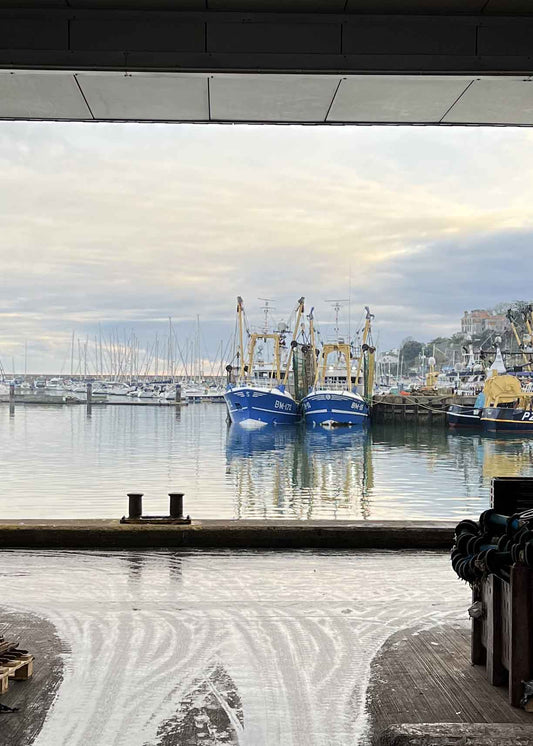 Is bottom trawling bad?