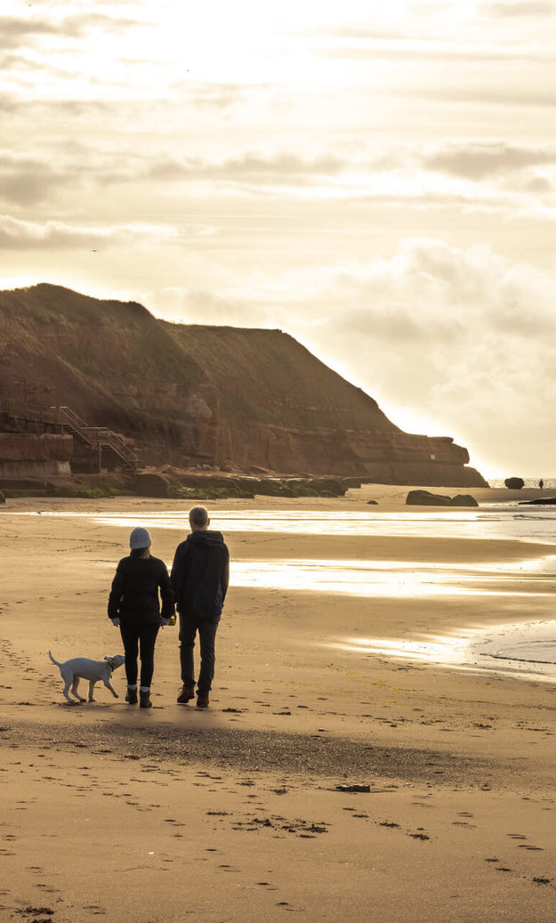 Best dog friendly beaches in Devon