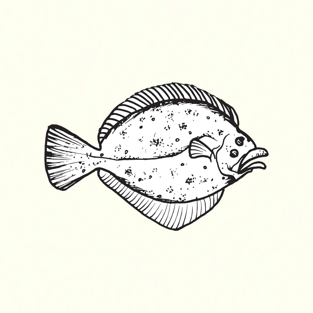 Brill Illustration
