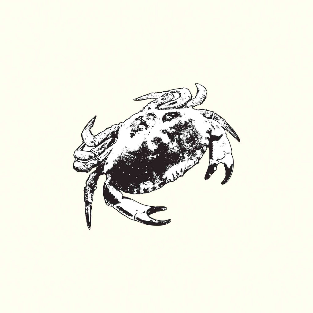 Crab illustration