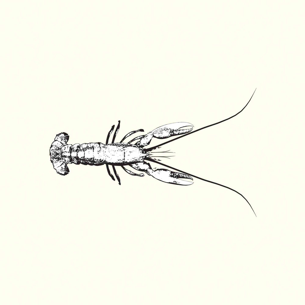 Lobster