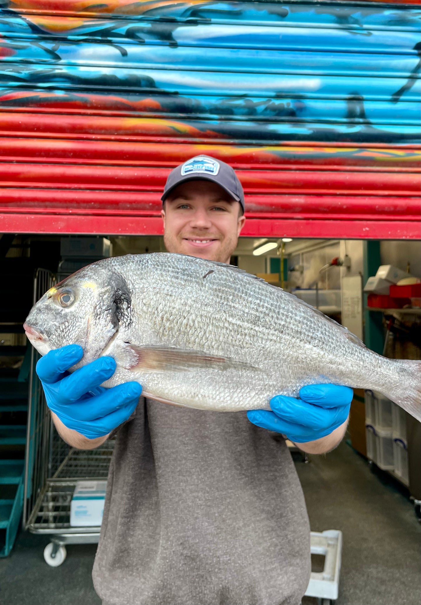 Market Pick - Wild Gilt Head Bream 1.5kg