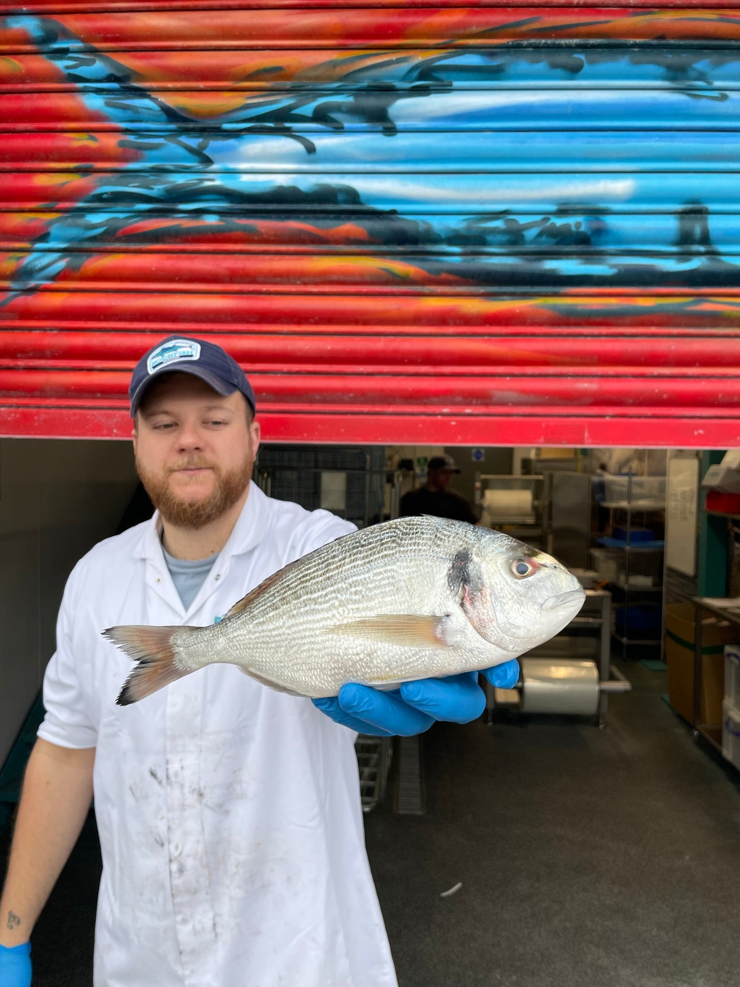 Market Pick - Wild Gilt Head Bream 3-400g
