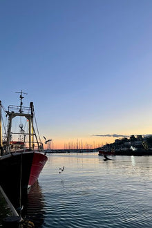 Market Picks of Today