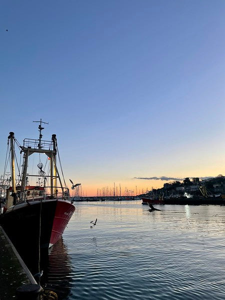 Market Picks of Today