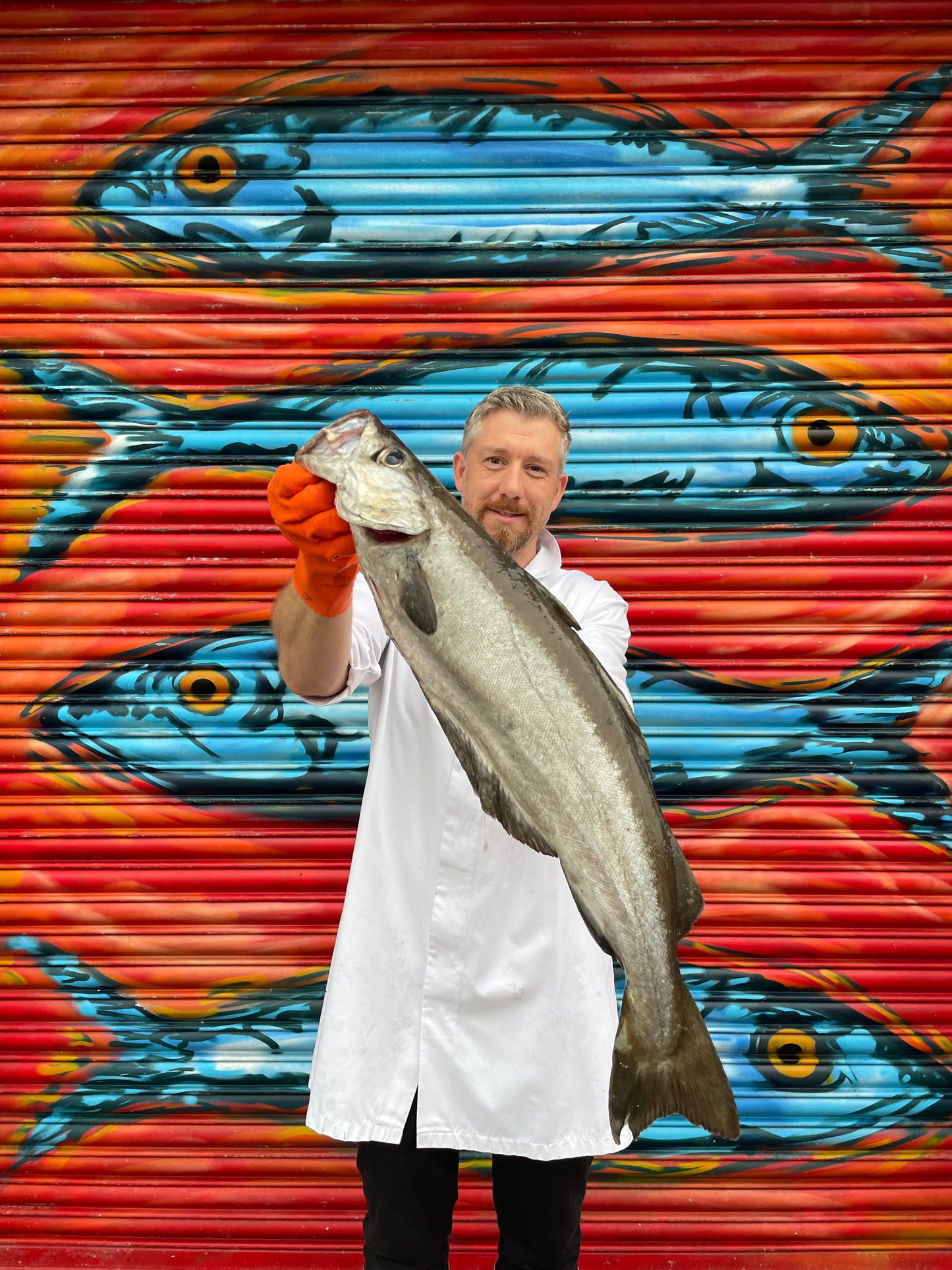 Market Pick - Pollack 3.4kg
