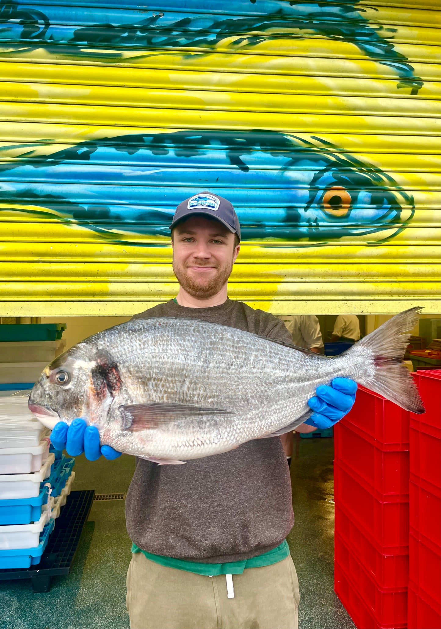 Market Pick - Wild Gilt Head Bream 2.7kg