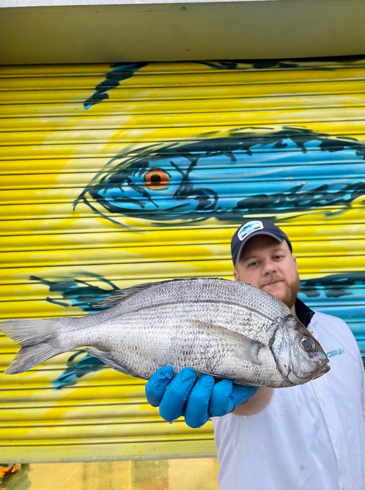 Market Pick - Black Sea Bream 1kg