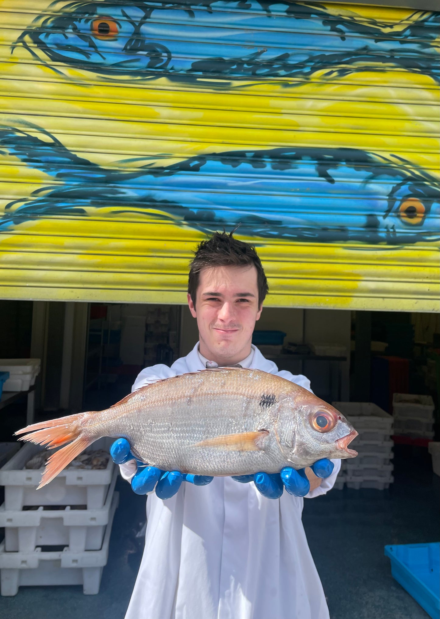 Market Pick - Blackspot Bream 700g