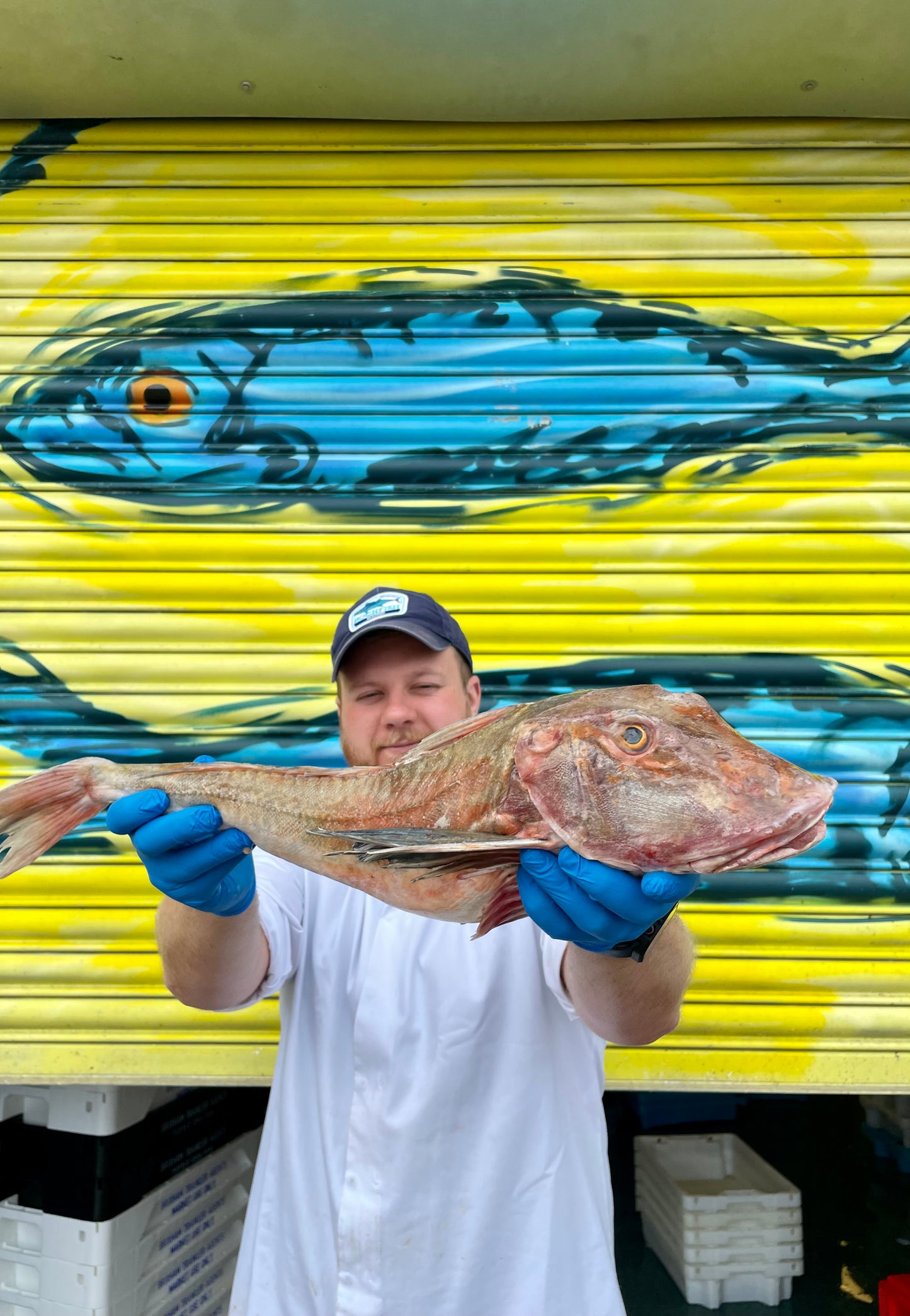 Market Pick - Gurnard 2.8kg