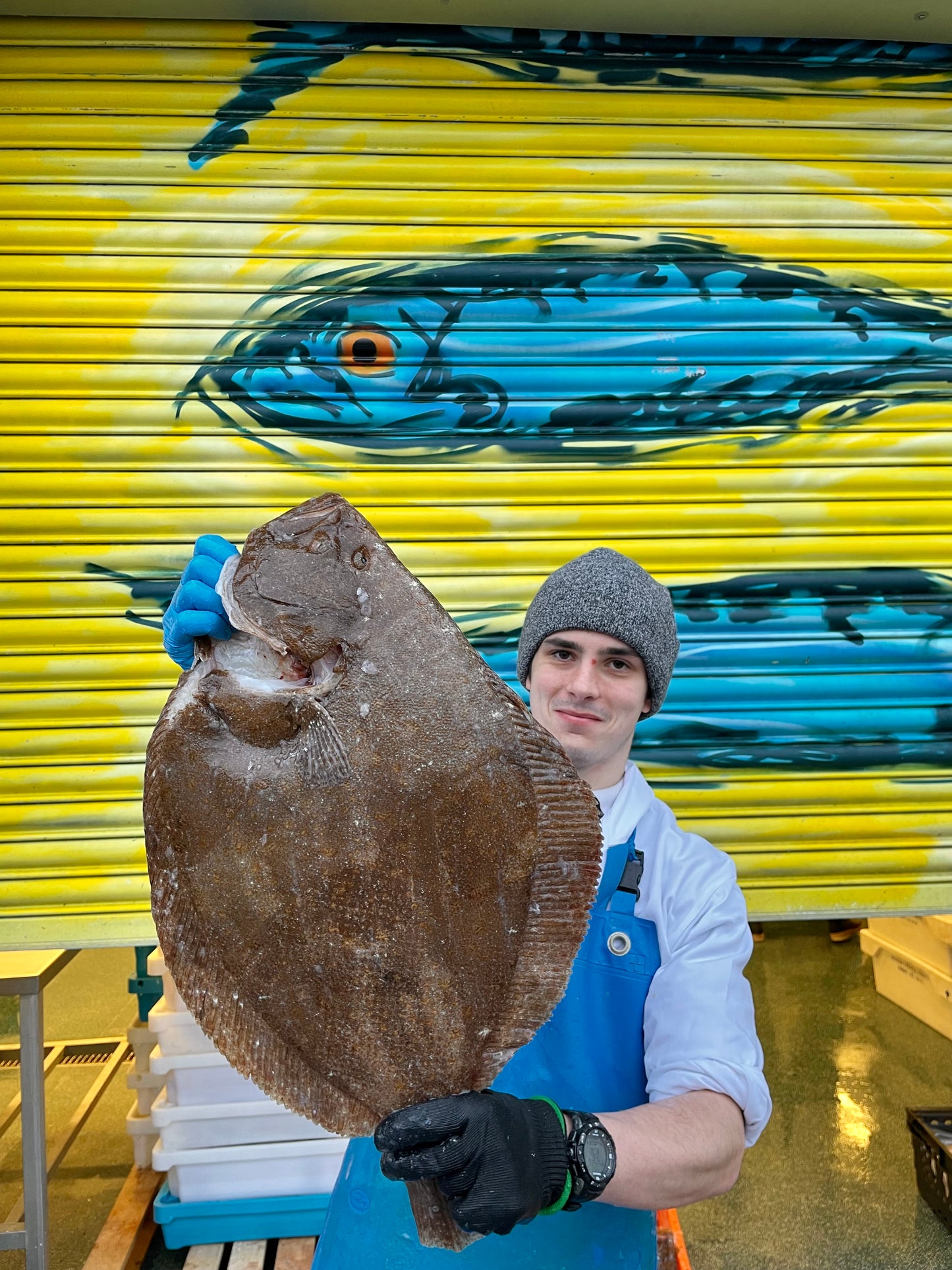 Market Pick - Brill 2.3kg