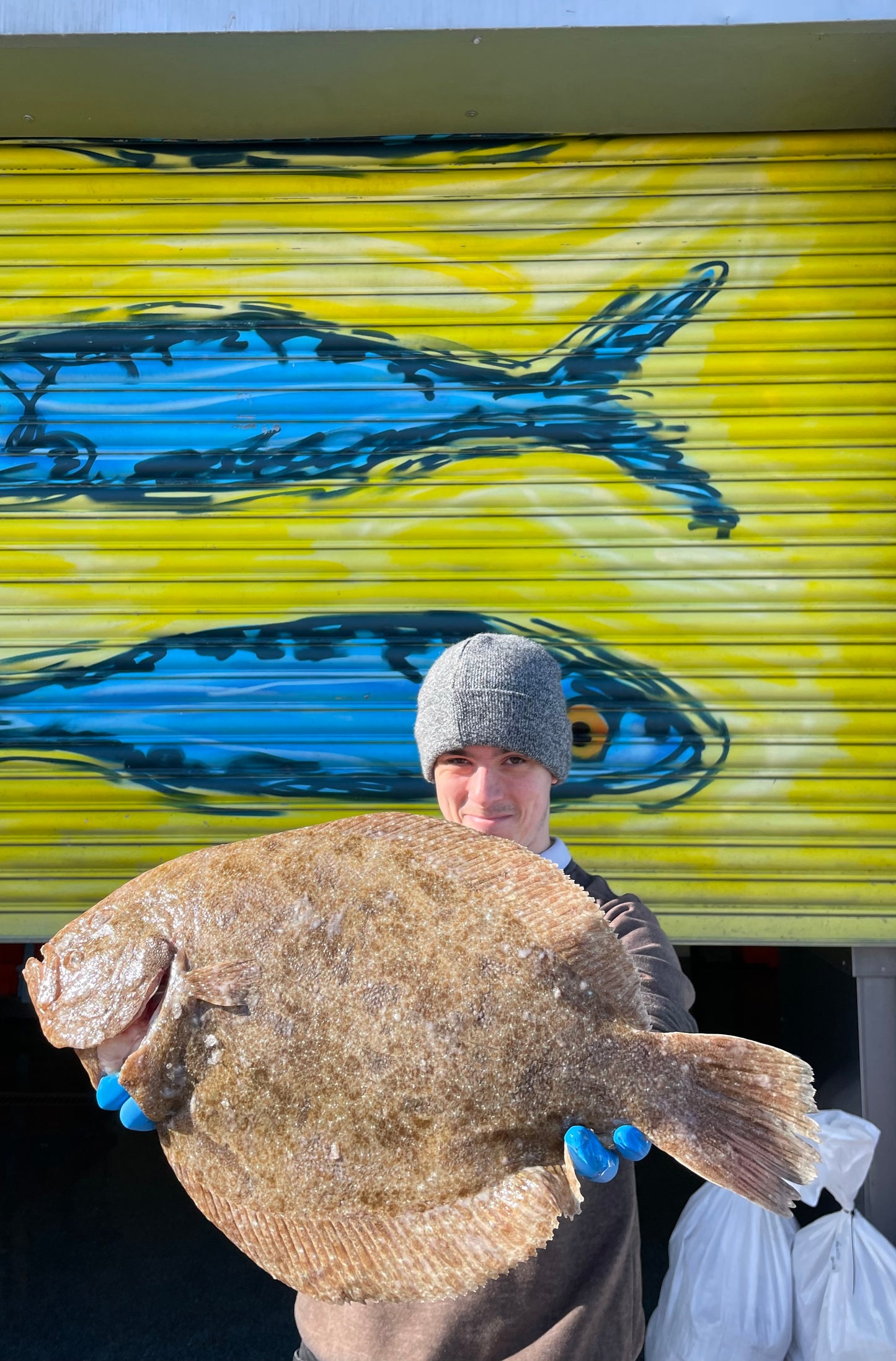 Market Pick - Brill 2kg