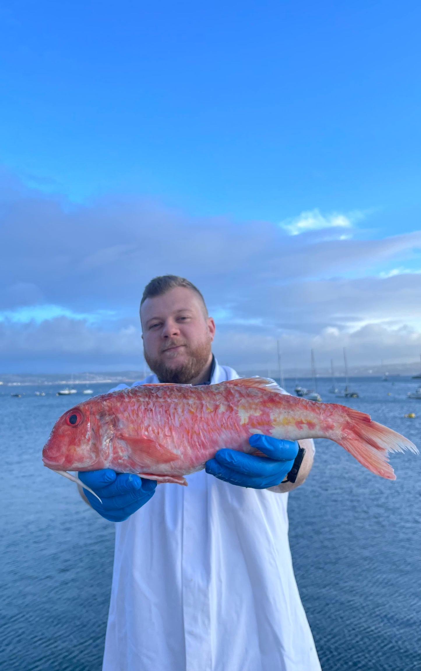 Market Pick - Red Mullet 1kg