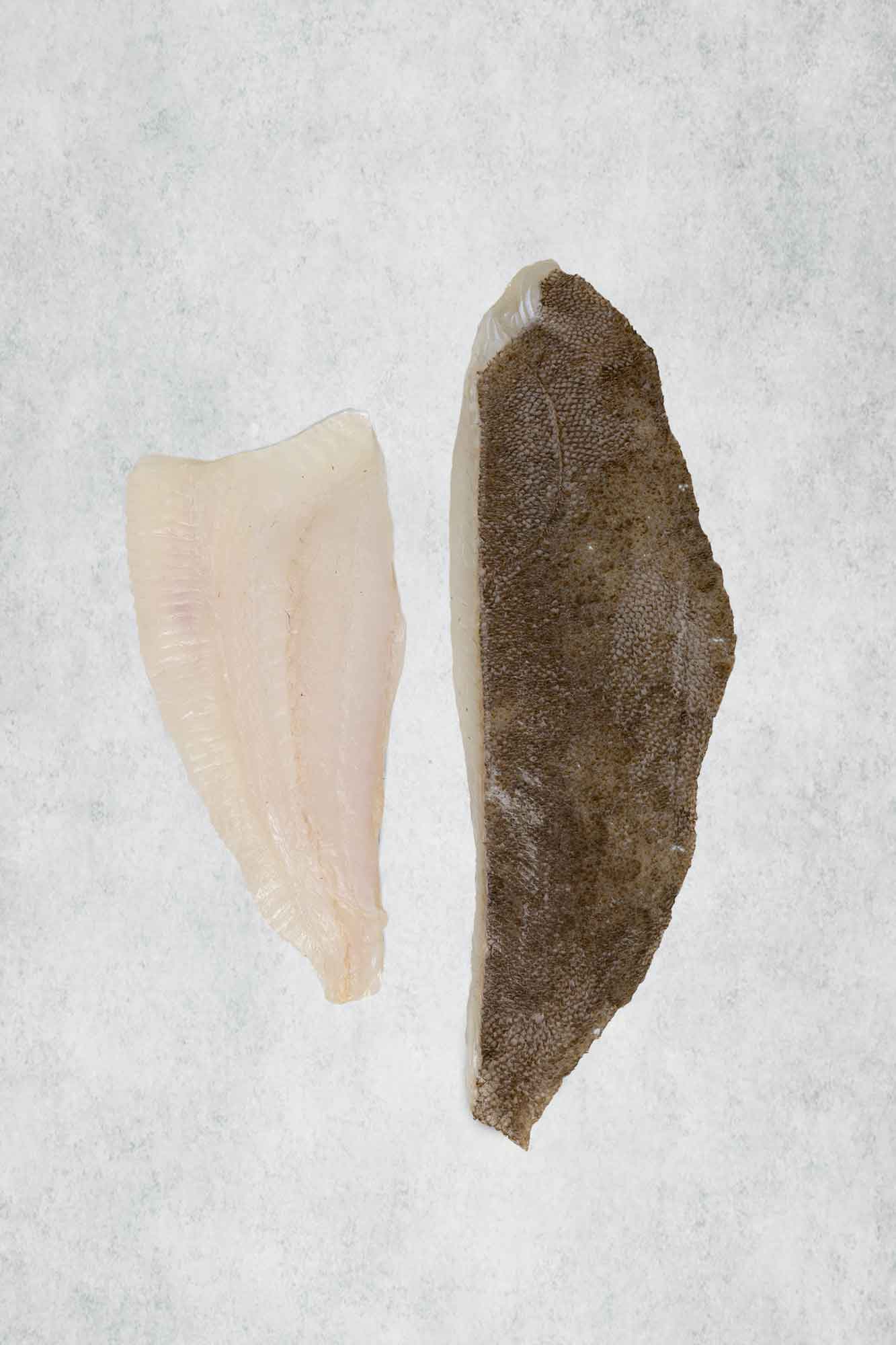 Brill fillets from Rockfish