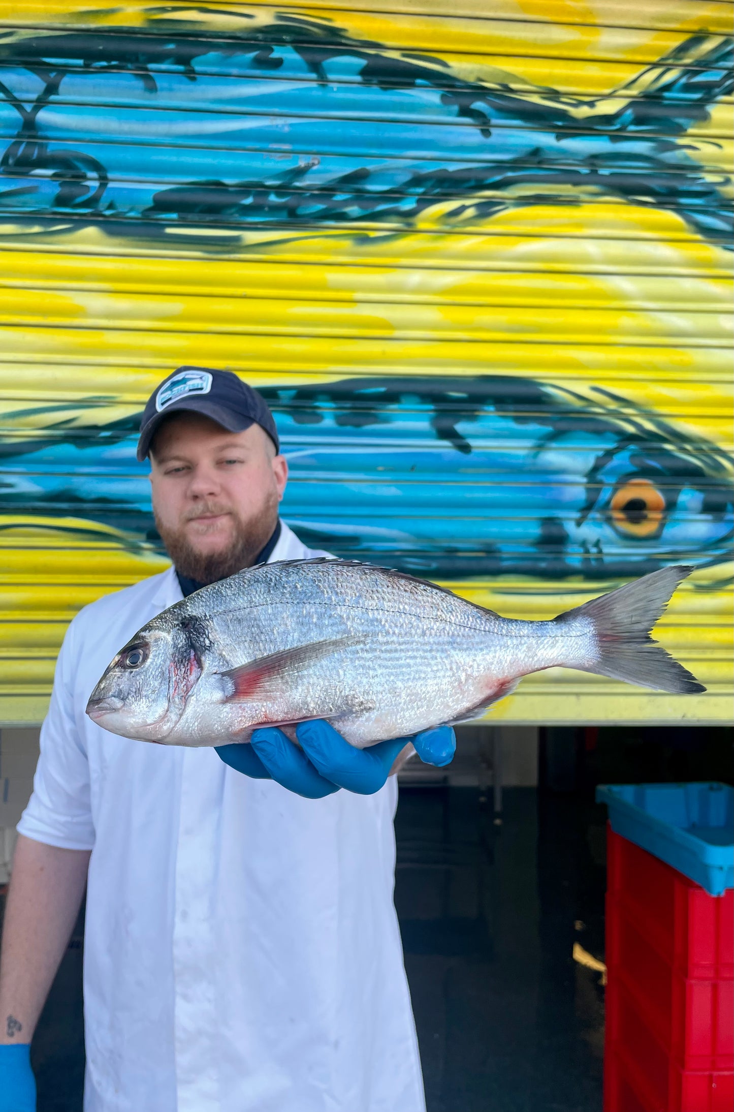 Market Pick - Wild Gilt Head Bream 600g