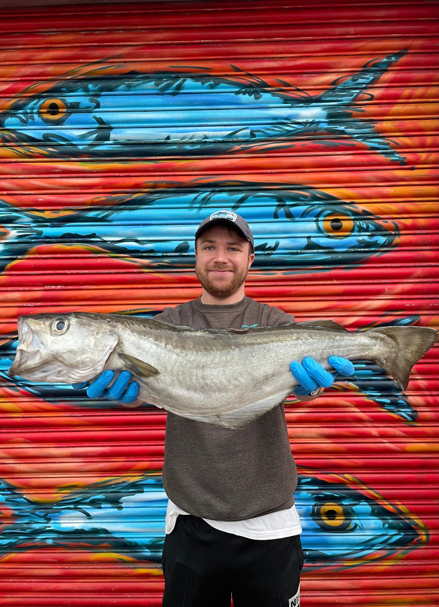 Market Pick - Pollack 3.2kg