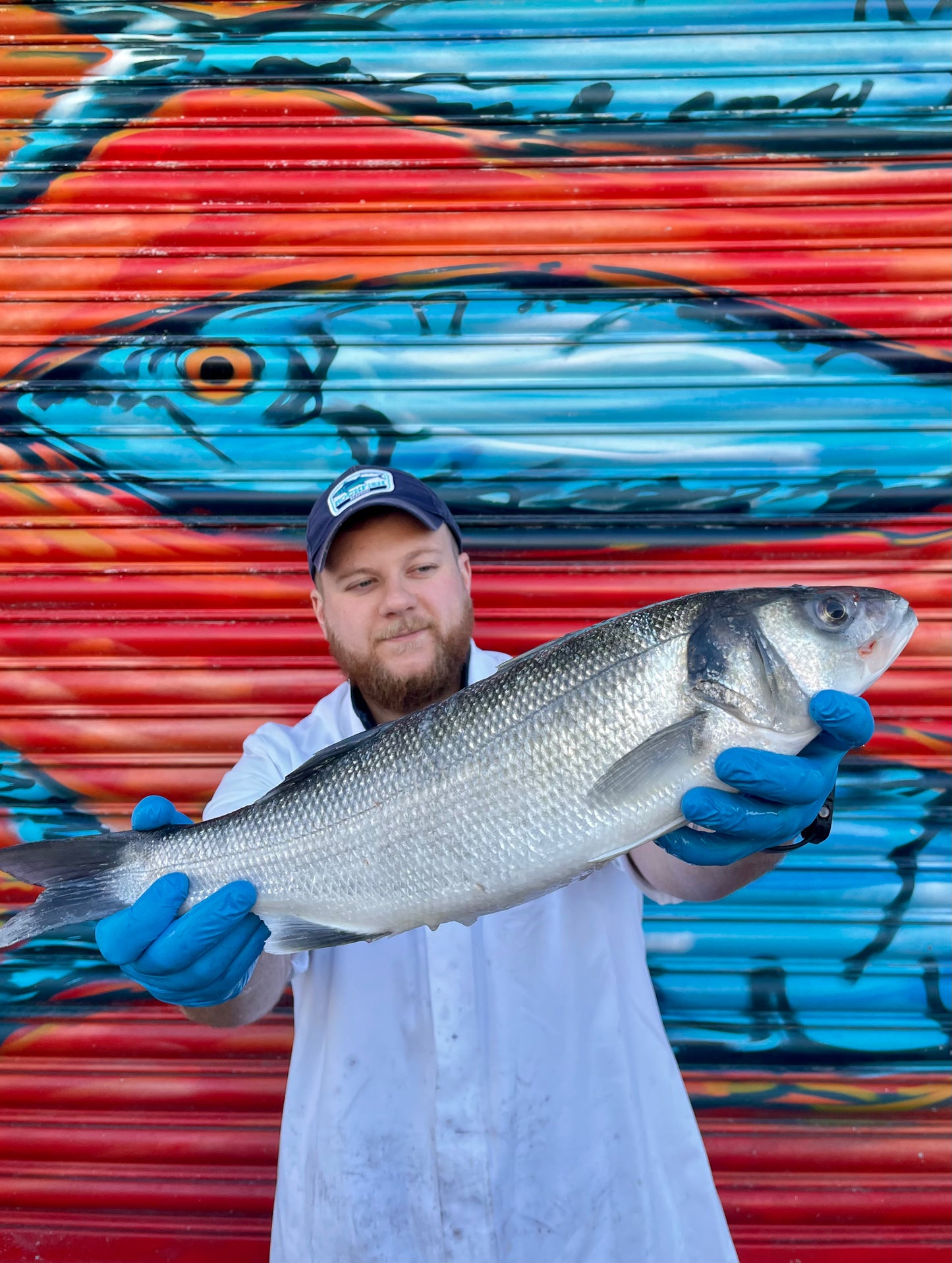 Market Pick - Sea Bass 2.2kg