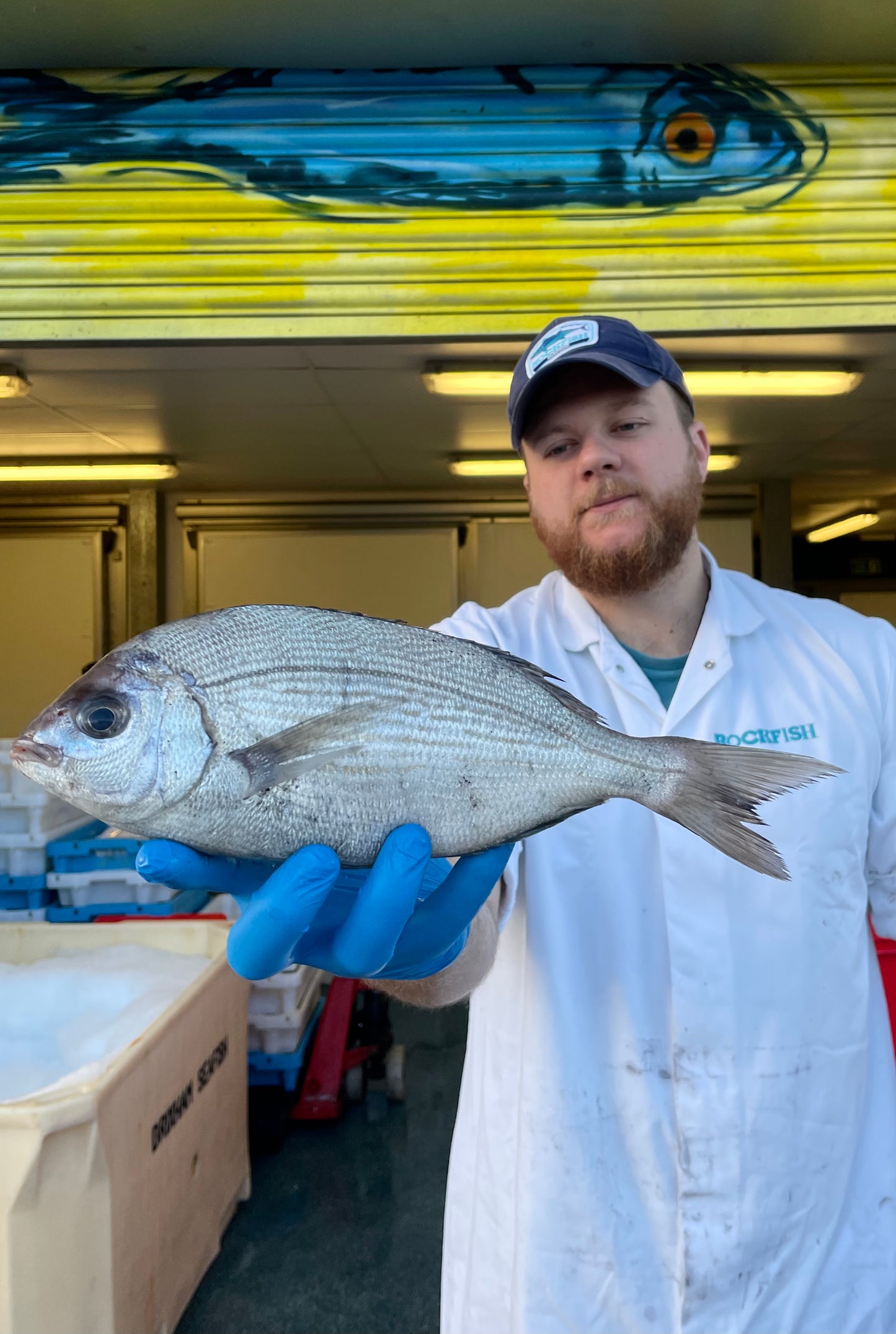 Market Pick - Black Sea Bream 700g