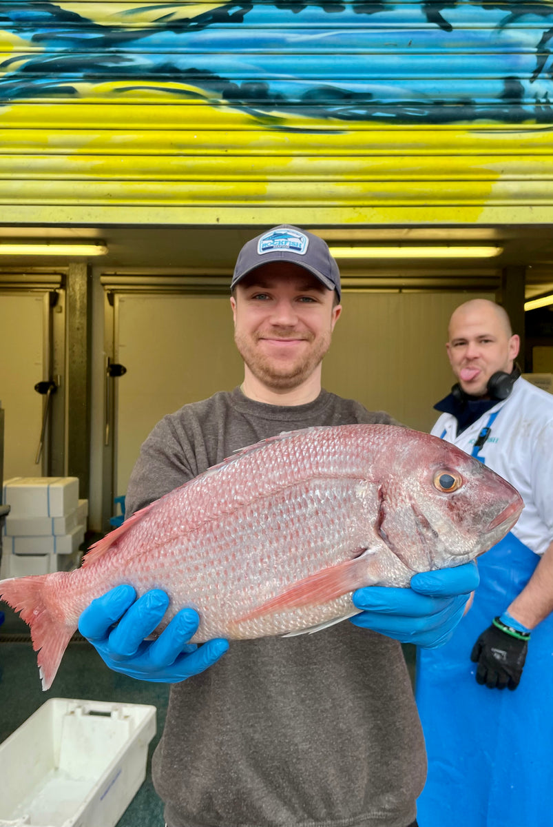 Wild Gilt Head Sea Bream Fillets Fresh sustainable fish delivered
