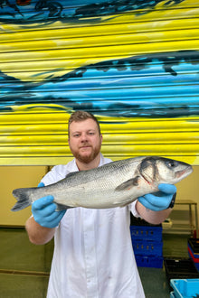 Market Pick - Sea Bass 1.7kg