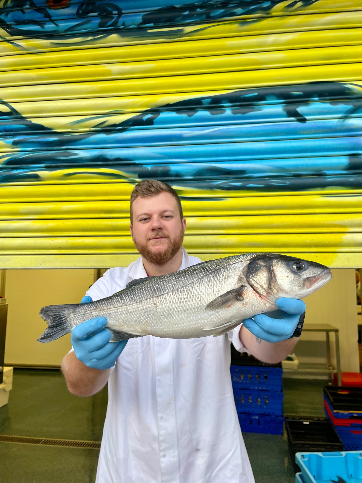 Market Pick - Sea Bass 1.7kg