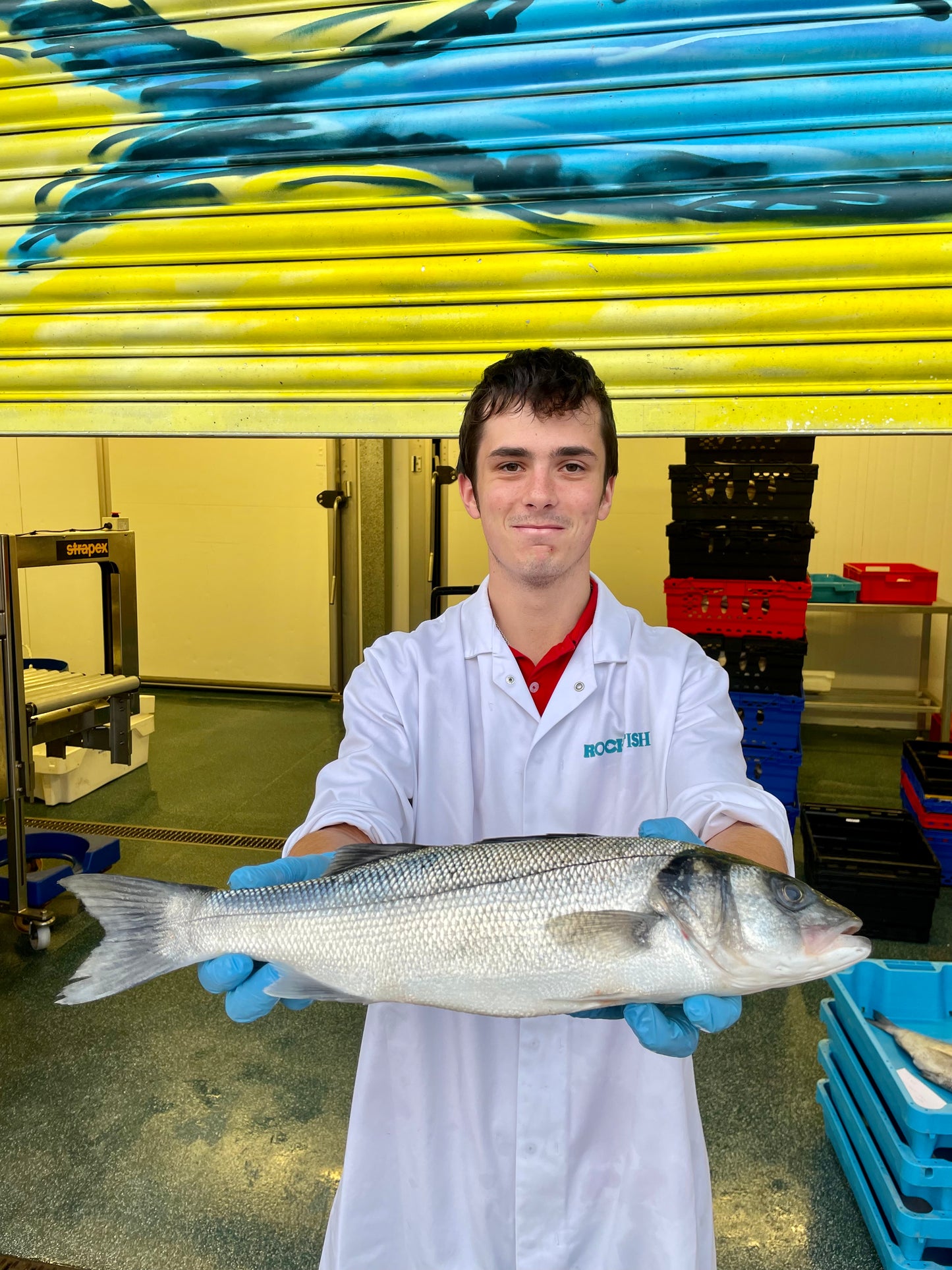 Market Pick - Sea Bass 1 kg