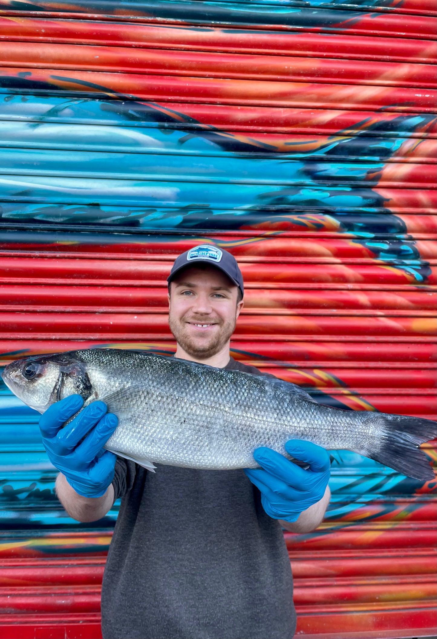 Market Pick - Sea Bass 1.8kg