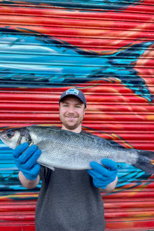 Market Pick - Sea Bass 1.6 kg