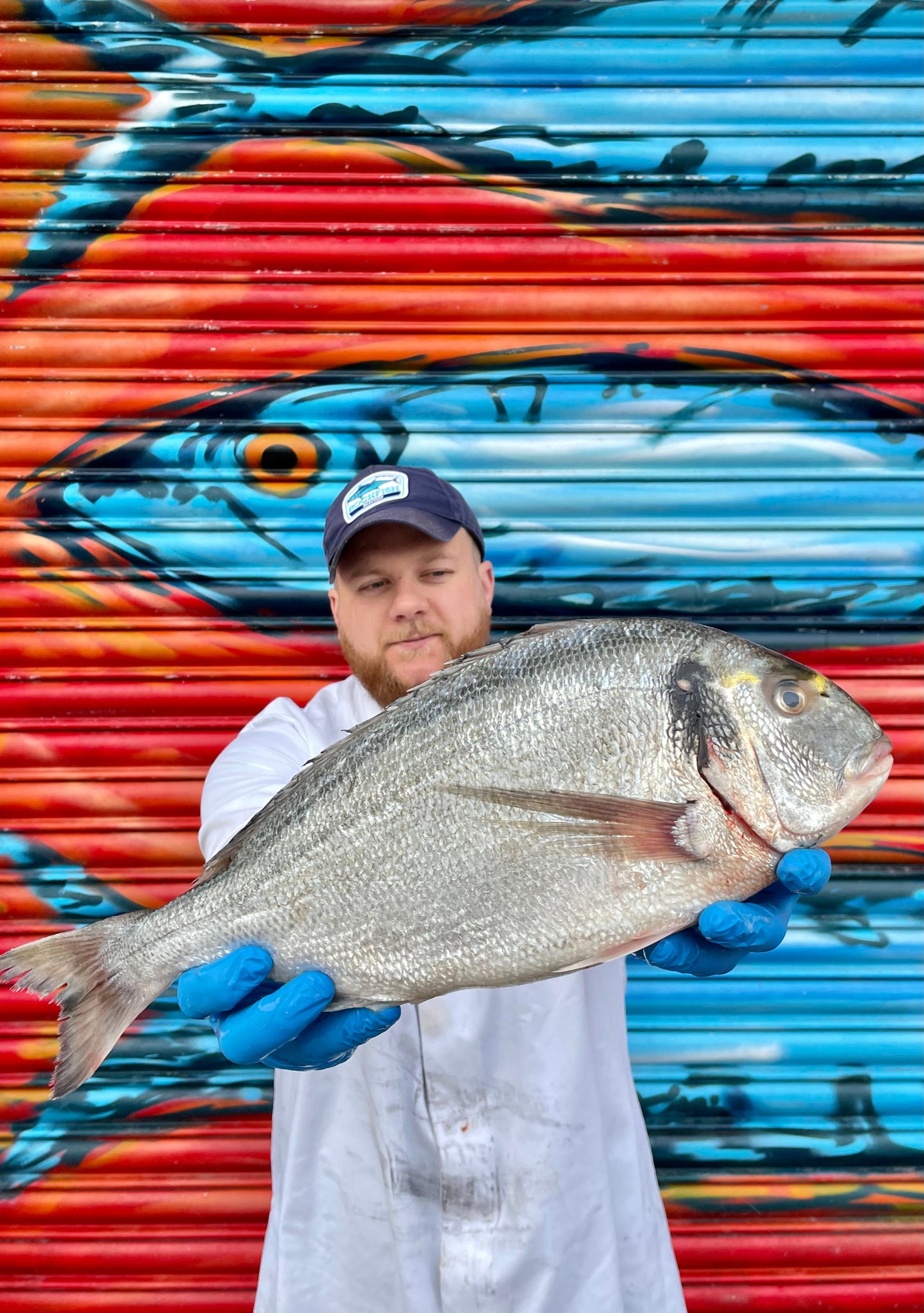 Market Pick - Wild Gilt Head Bream 2.1kg