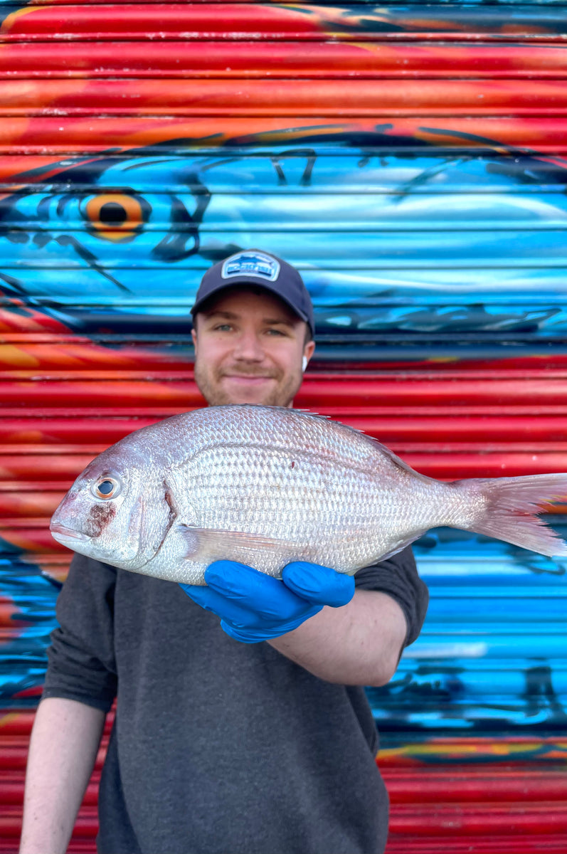 Wild Gilt Head Sea Bream Fillets Fresh sustainable fish delivered