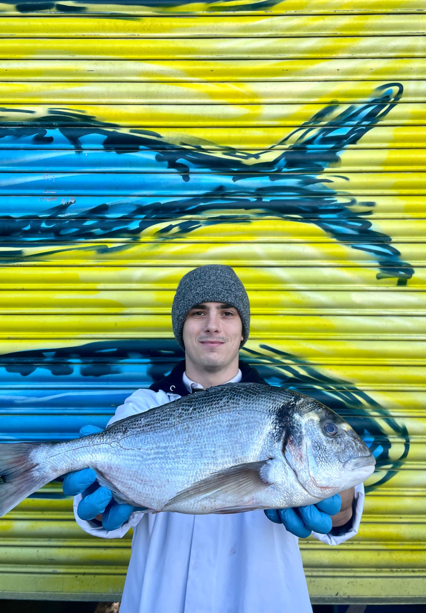 Market Pick - Wild Gilt Head Bream 1.3kg