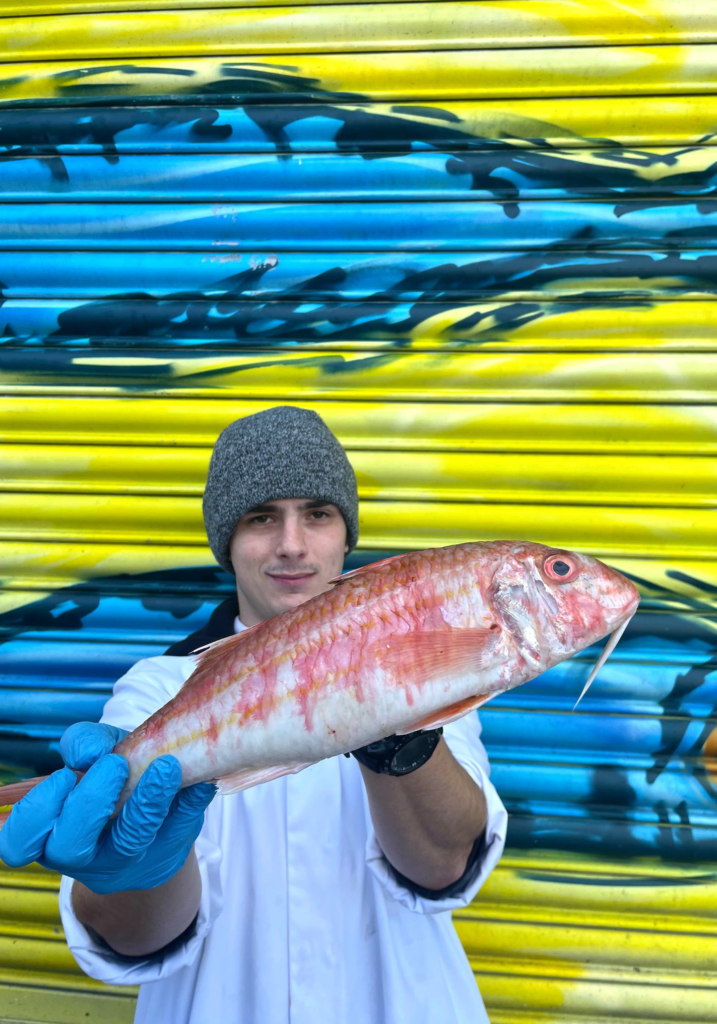 Market Pick - Red Mullet 550g