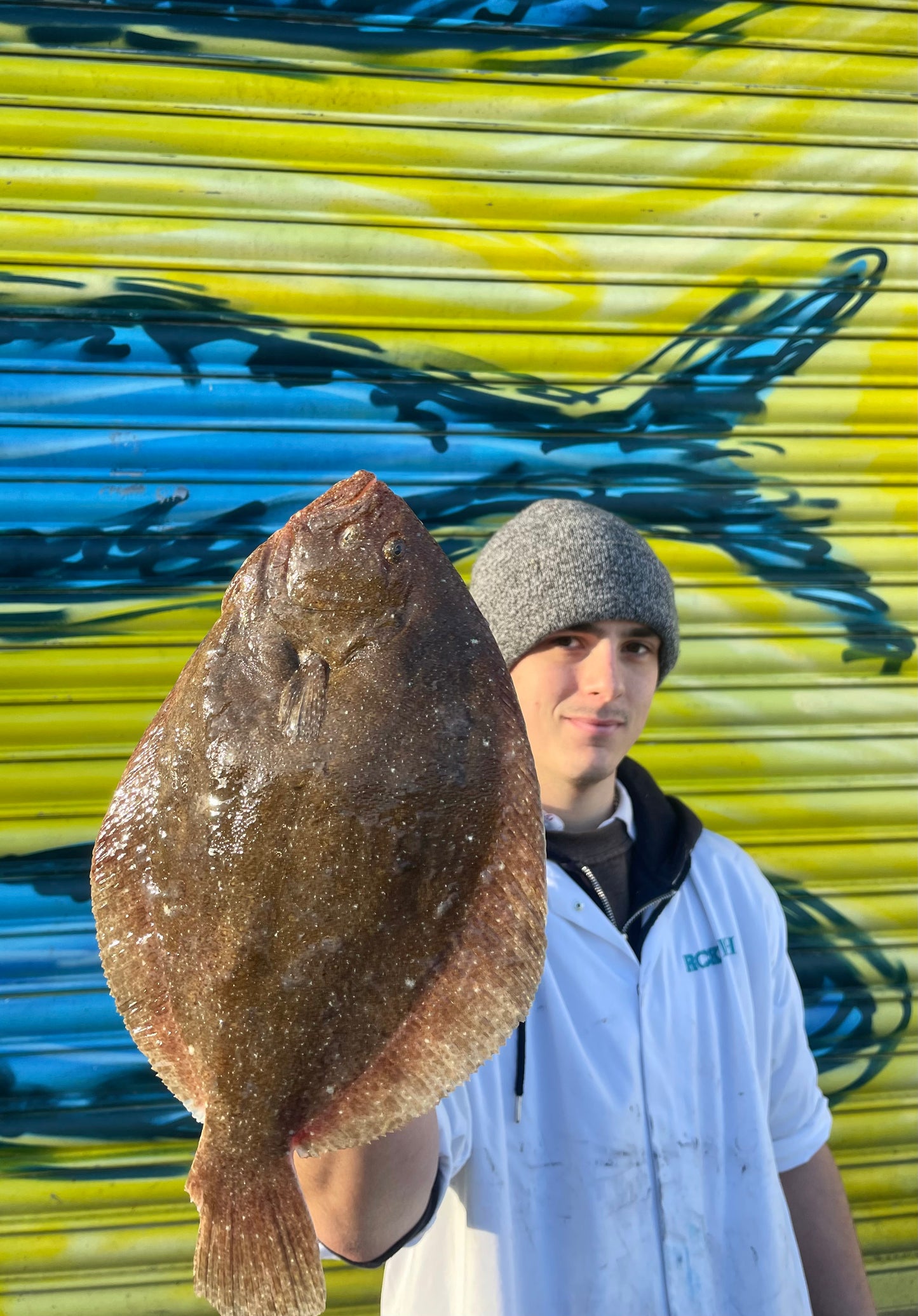 Market Pick - Brill 500g