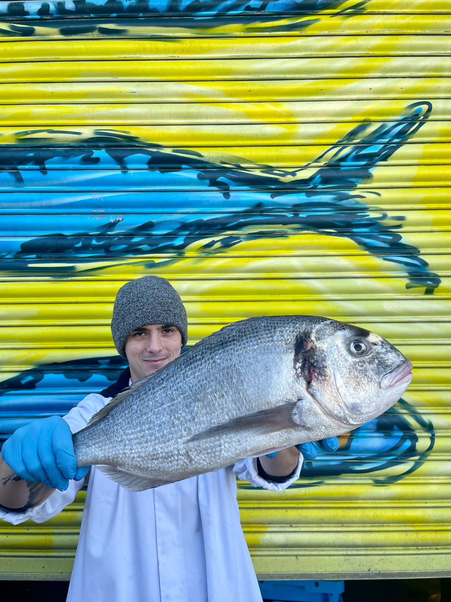 Market Pick - Wild Gilt Head Bream 2.4kg