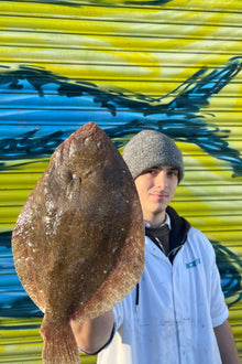 Market Pick - Brill 1.3kg