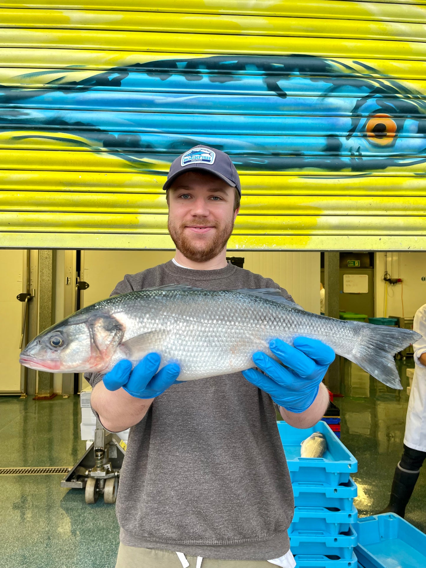 Market Pick - Sea Bass 1.1 kg