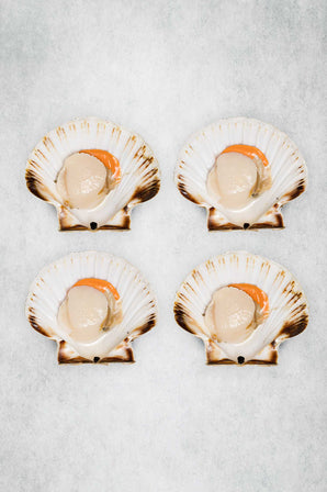 Scallops in the Half Shell
