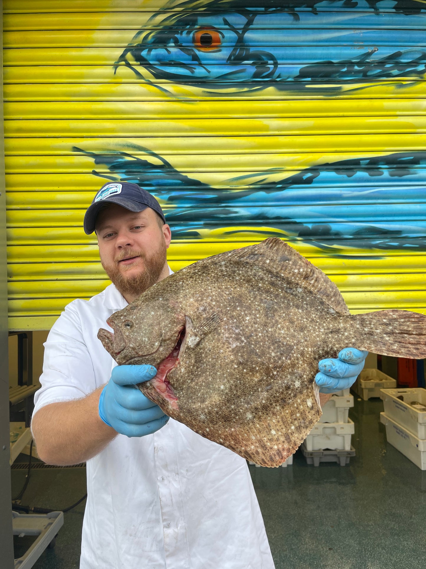 Mitch's Pick - Turbot 1.5 kg