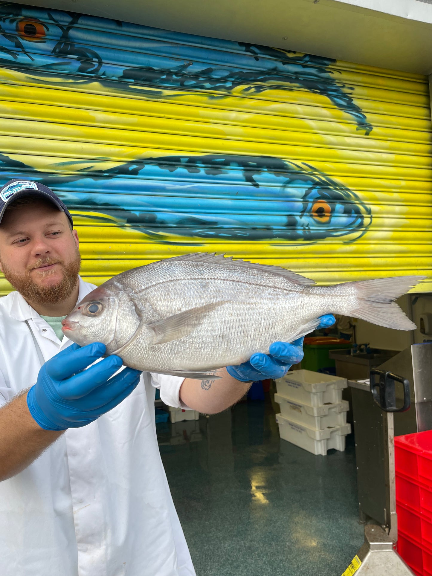 Market Pick - Black Sea Bream 1.1 kg