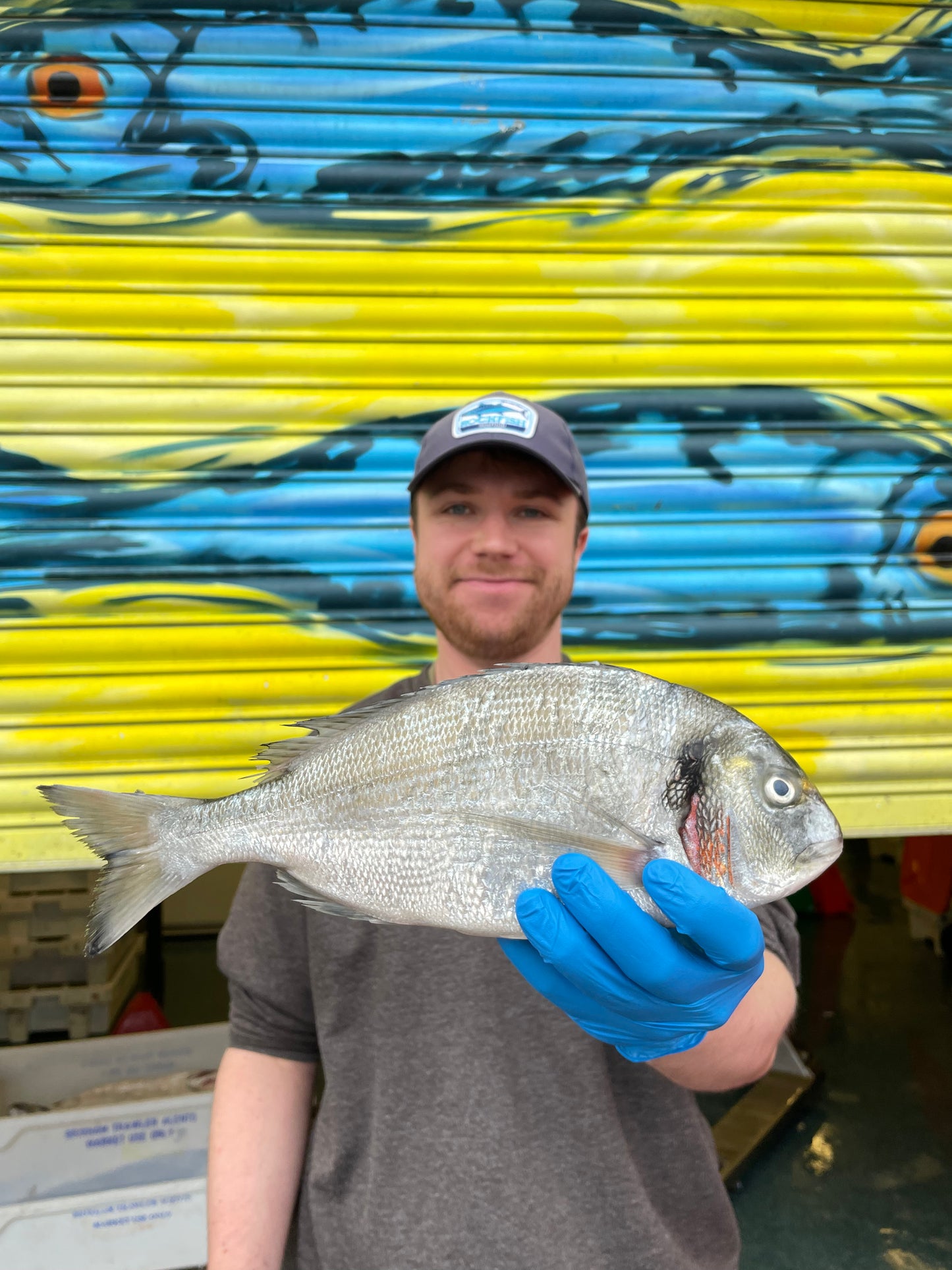 Market Pick - Wild Gilt Head Bream 800g