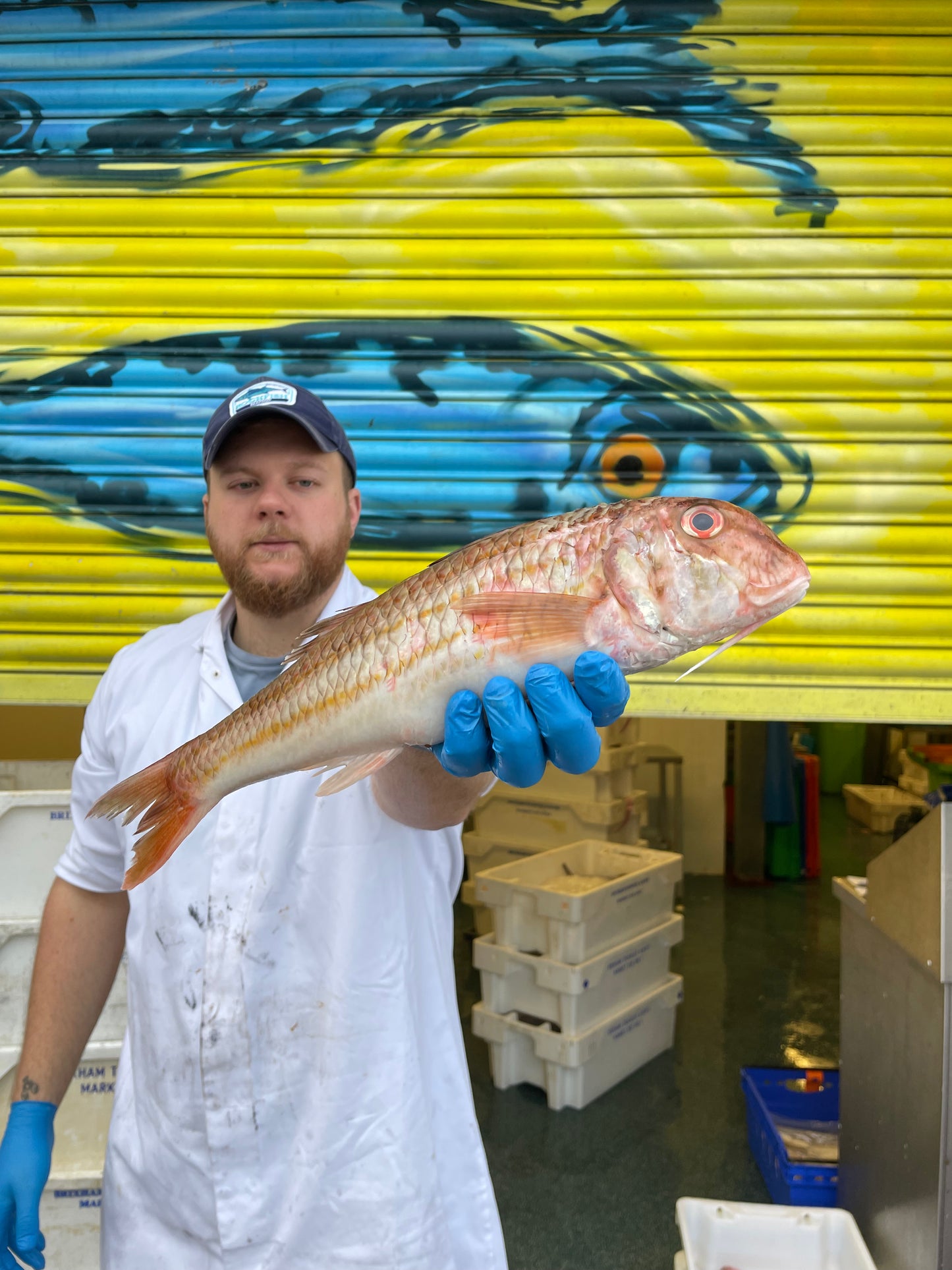 Market Pick - Red Mullet 800g