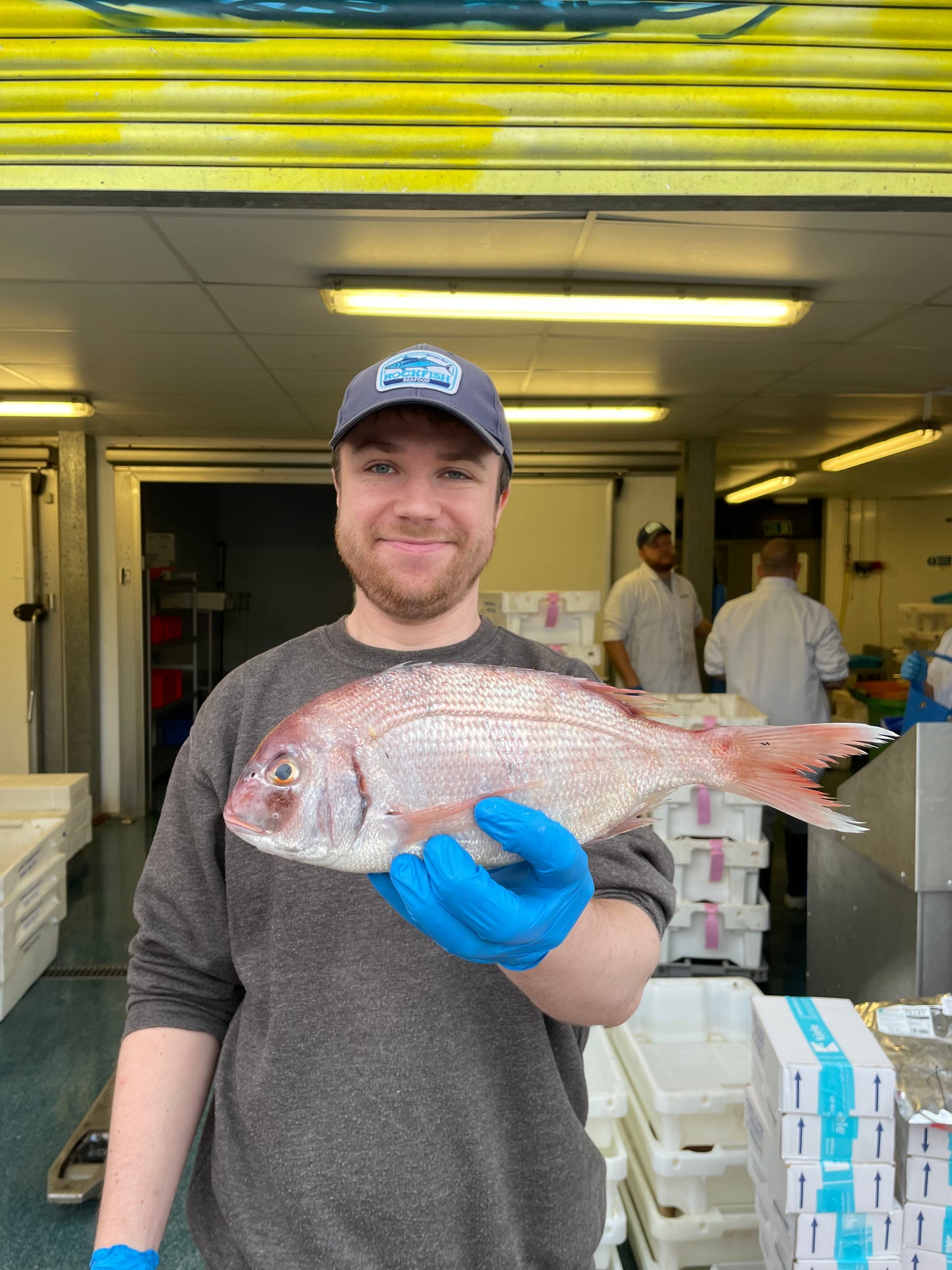 Market Pick - Couches Sea Bream 3-400g
