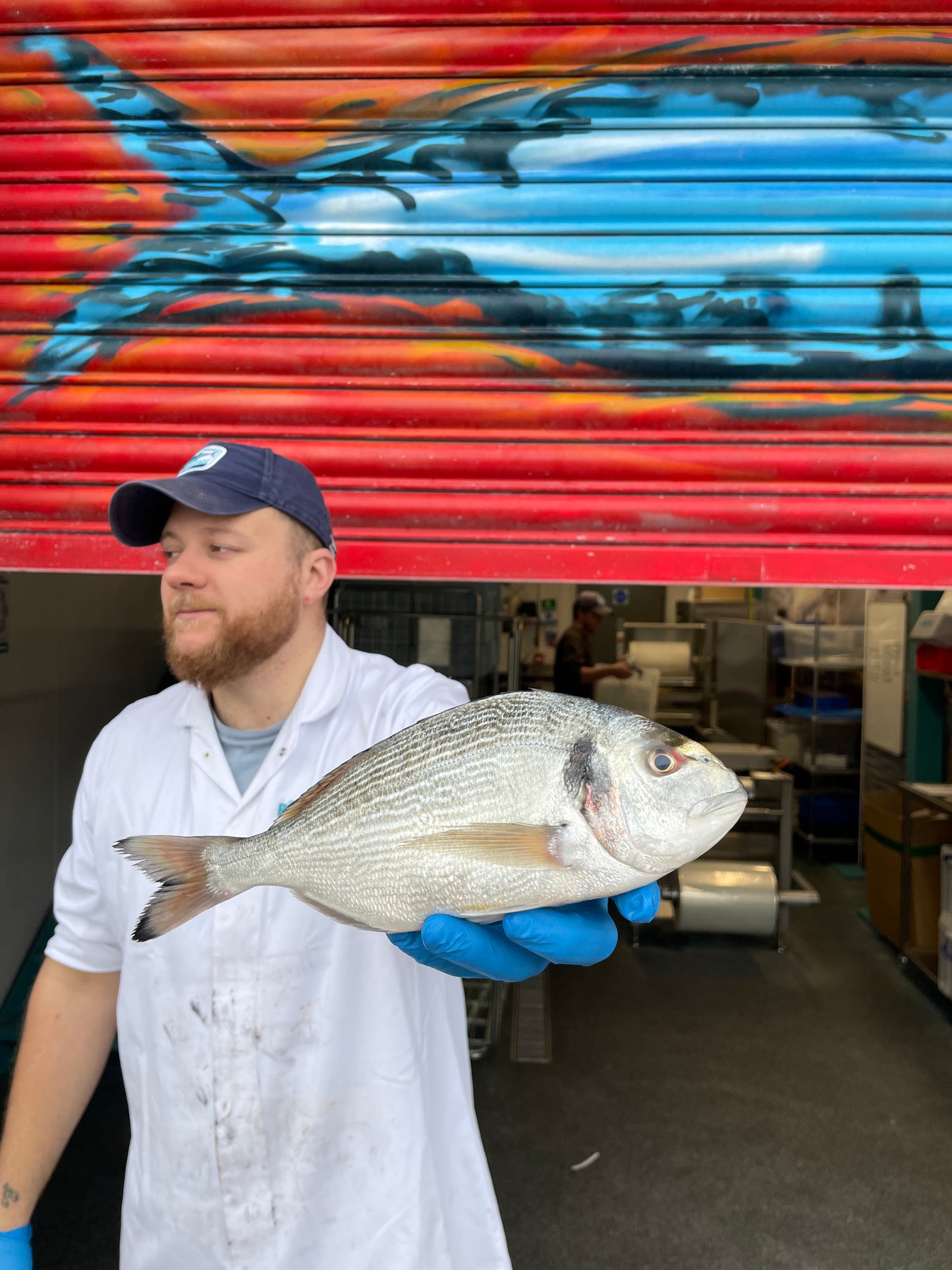 Market Pick - Wild Gilt Head Bream 500g