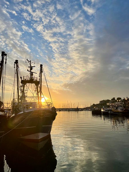 Market Picks of Today